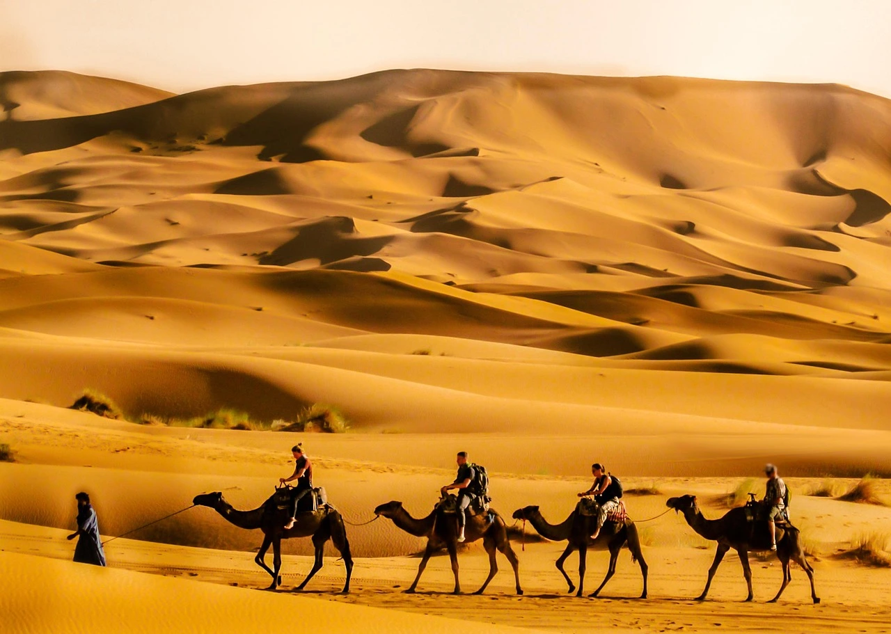 2-Day Zagora Desert Tour