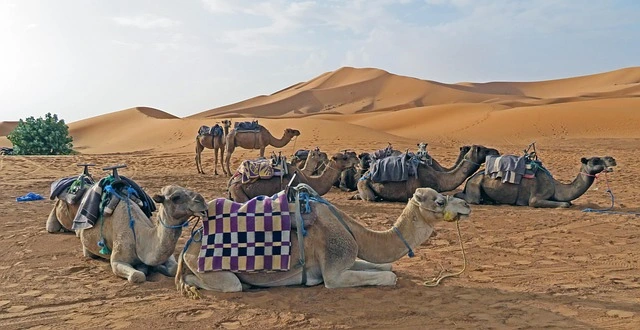 4-Day Morocco Desert Tour