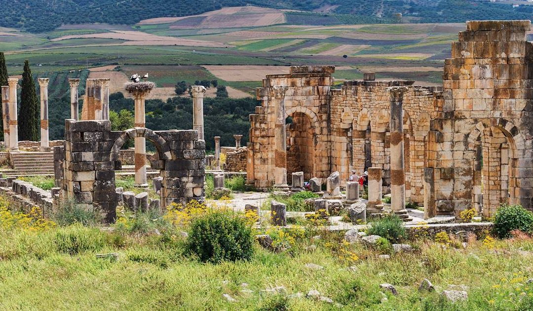 TRIP FROM FEZ TO VOLUBILIS